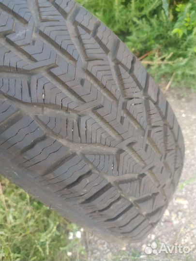 Tigar Winter 215/55 R18