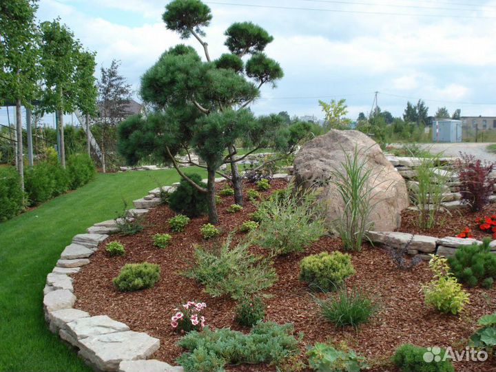 Мульча сосновая