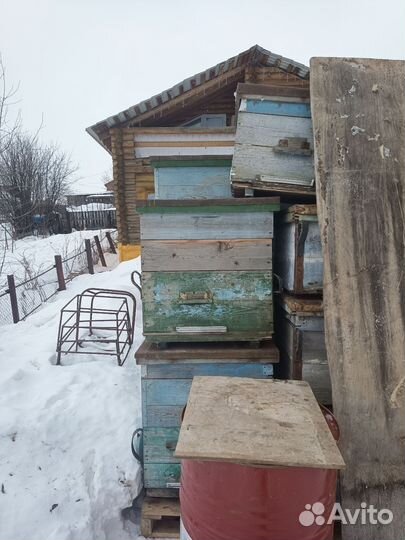 Улей для пчел бу