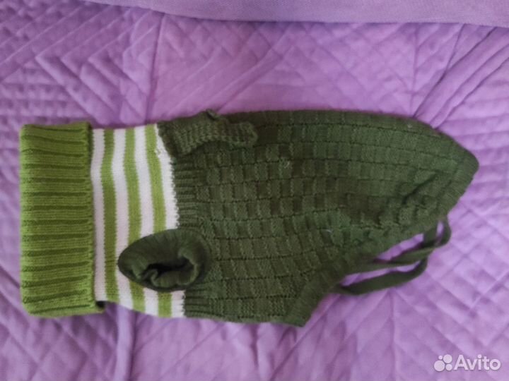 Одежда для маленьких собак