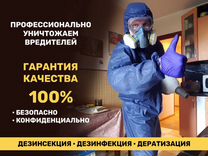 Уничтожение клопов, травля тараканов. Дезинфекция