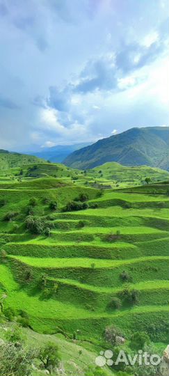 Тур по горному Дагестану 4 дня