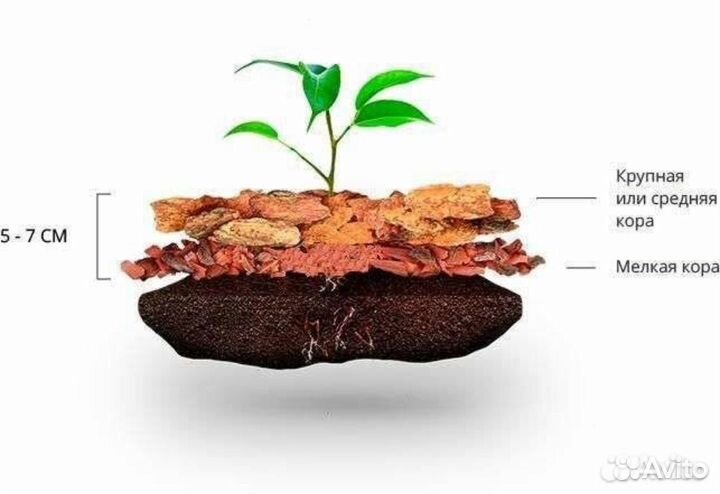 Мульча кора лиственницы Иваново