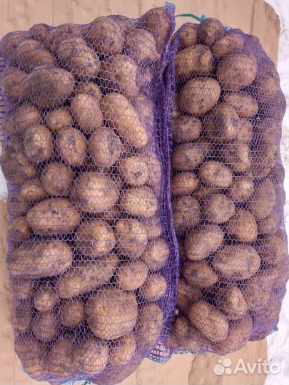 Картофель на еду