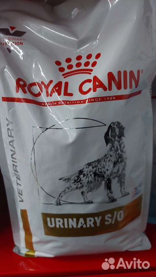 Корм для собак роял канин s/o