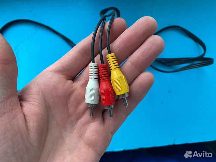 Тюльпаны провода