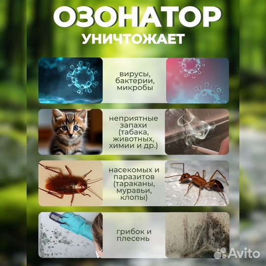 Озонатор