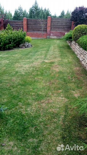 Обработка вашего сада от клеща,комаров,мух,тли