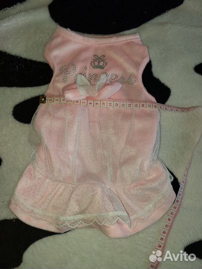 Одежда для собак