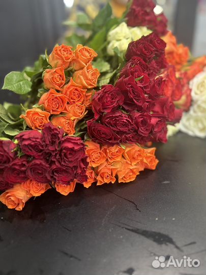 Роза кения букет 101 роза 4200