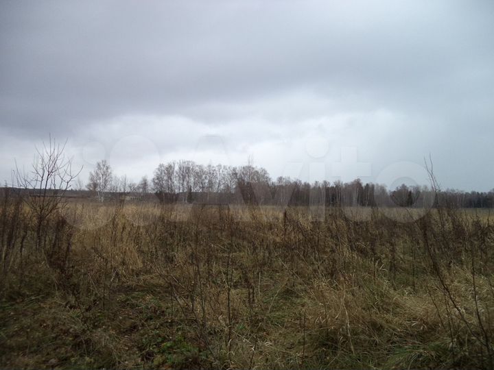 Участок 11 га (СНТ, ДНП)