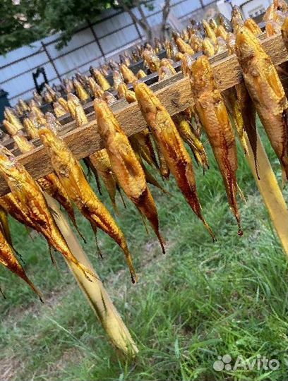 Барабуля копченая