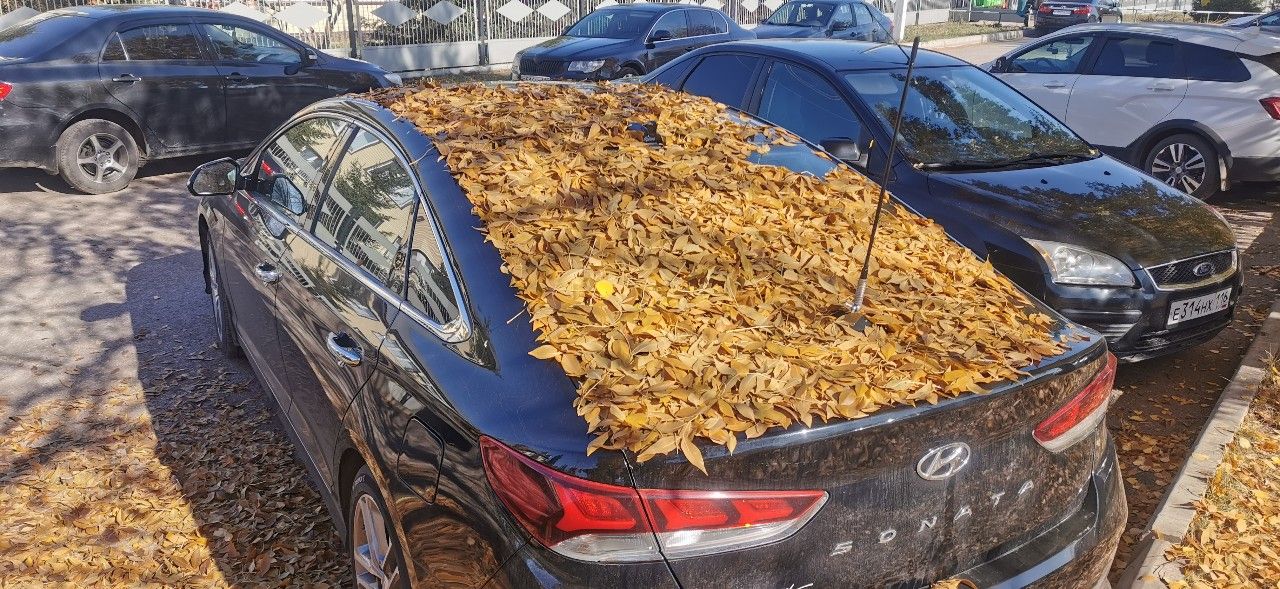 Hyundai Sonata: фото владельца