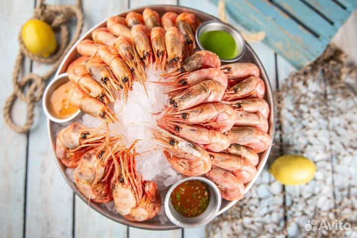 Креветка Северная
