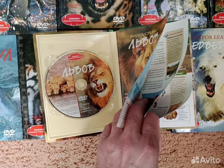 Собрание фильмов про дикую природу-DVD+книги-21 шт
