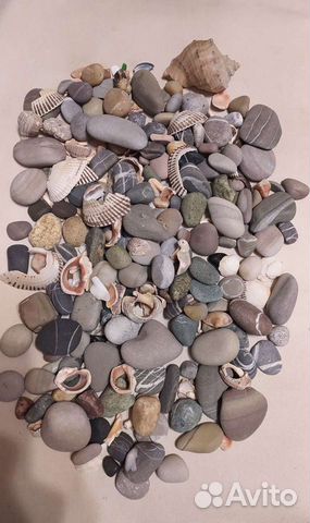 Камешки и ракушки морские для аквариума 5кг