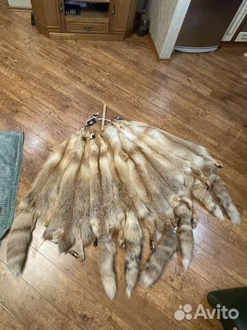 Шкуры лисы
