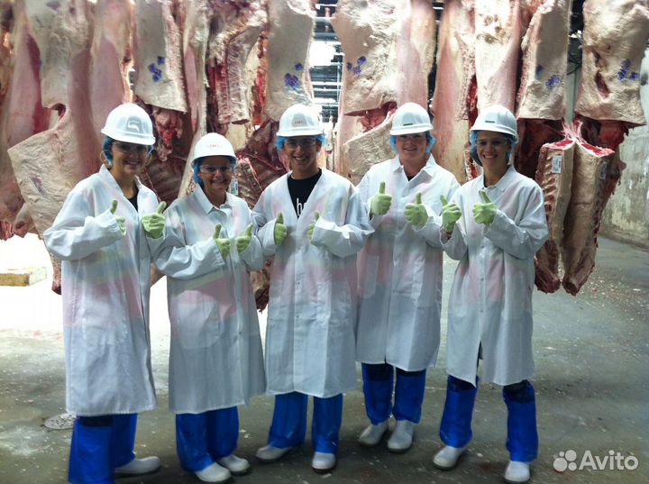 Разнорабочие