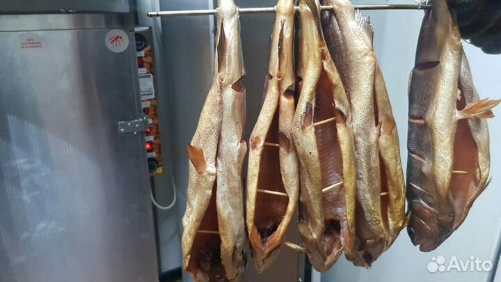 Копченая рыба, копчение, холодное копчение