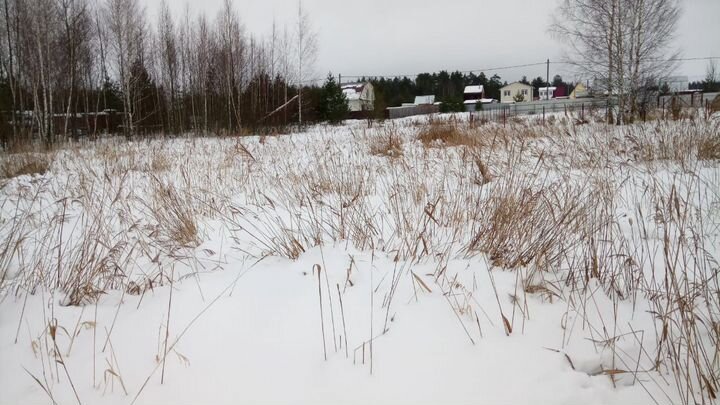 Участок 24 сот. (СНТ, ДНП)