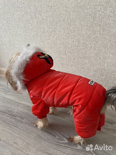 Зимний комбинезон для мелких пород