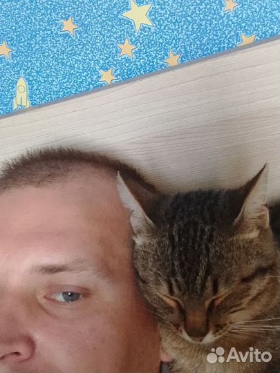 Копирайтер удаленно