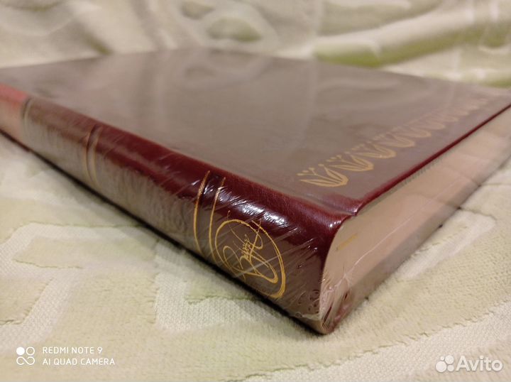 Господа Головлевы, Верже кожа