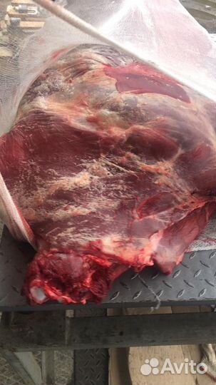 Говядина охлажденная быки в полутушах