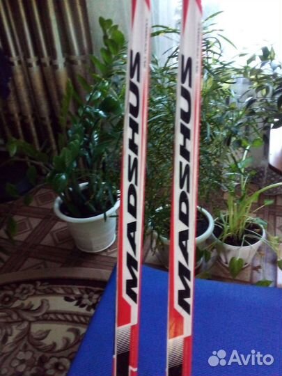 Беговые лыжи