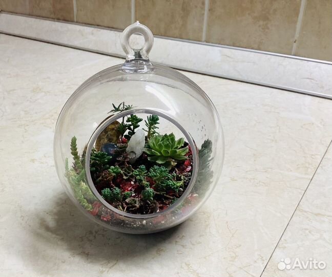 Мини флорариум