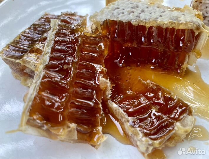 Сотовый мед гречишный