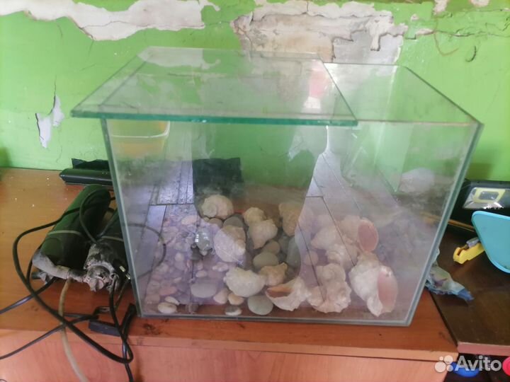 Аквариум