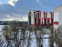 значок хит продаж. и т д предлагаем вашему. хит продаж картинка. выгодное предложение. и т д предлагаем вашему.