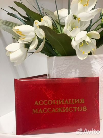 Профессиональный ручной и аппаратный массаж