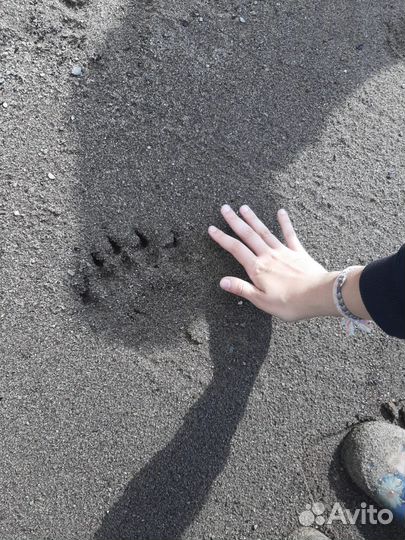 Эко туризм на севере России