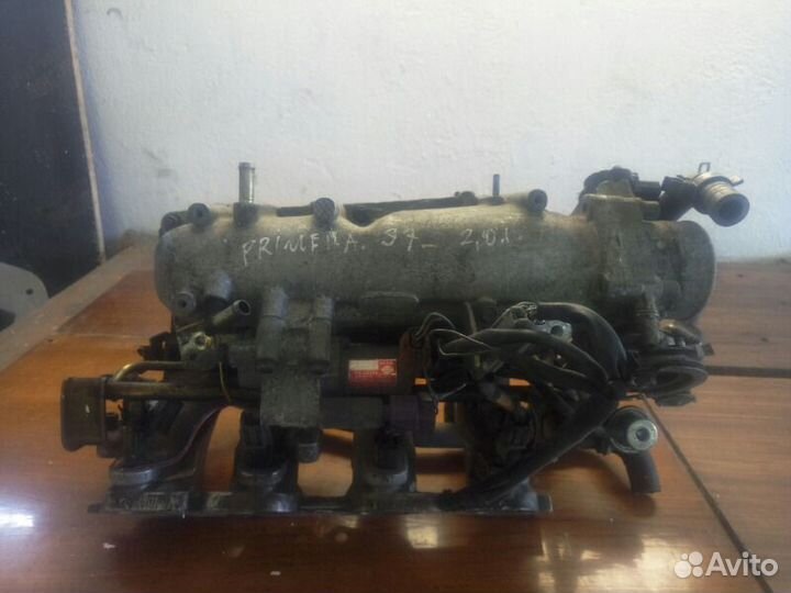 Коллектор впускной Nissan Primera P11 SR20
