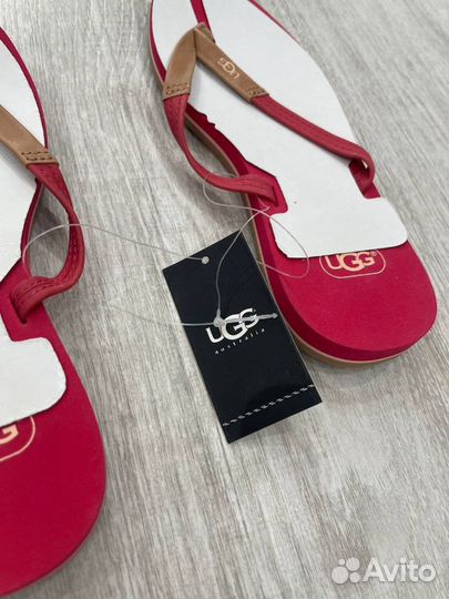 Сланцы ugg оригинал