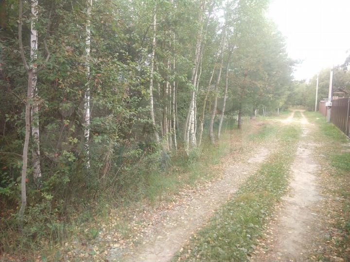 Участок 8 сот. (СНТ, ДНП)