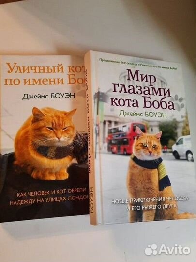 Книга Мир глазами кота Боба