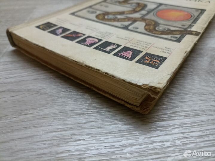 Литинецкий И. Б Бионика