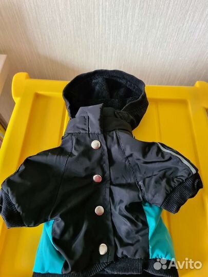 Осенний костюм для собаки