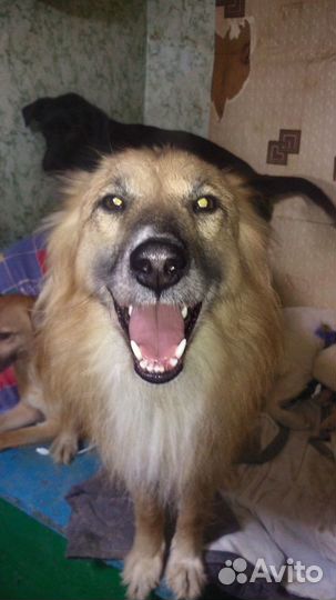 Небольшие, стерильные девочки