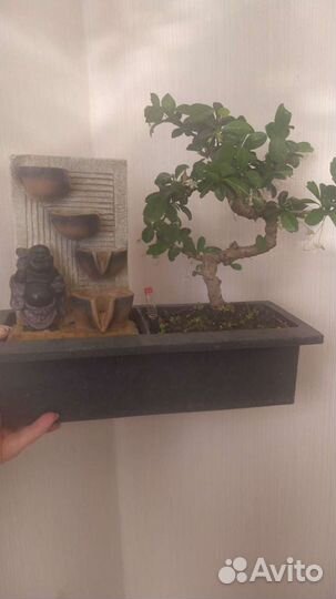 Бонсай с водопадом