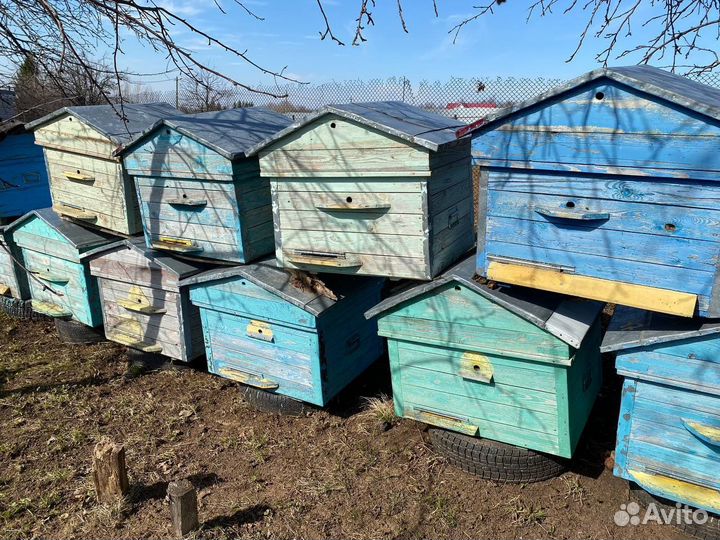 Улей для пчел 16 рамочные