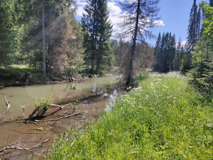 Участок 6 га (СНТ, ДНП)