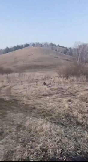 Участок 13 сот. (ИЖС)