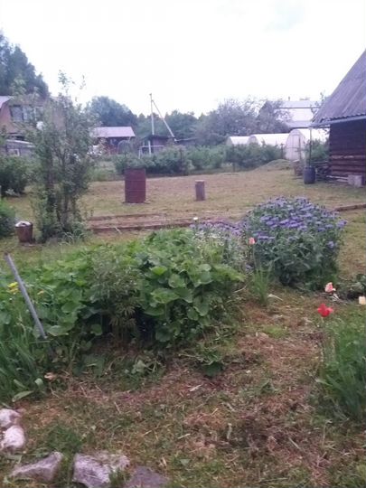 Дача 40 м² на участке 6 сот.