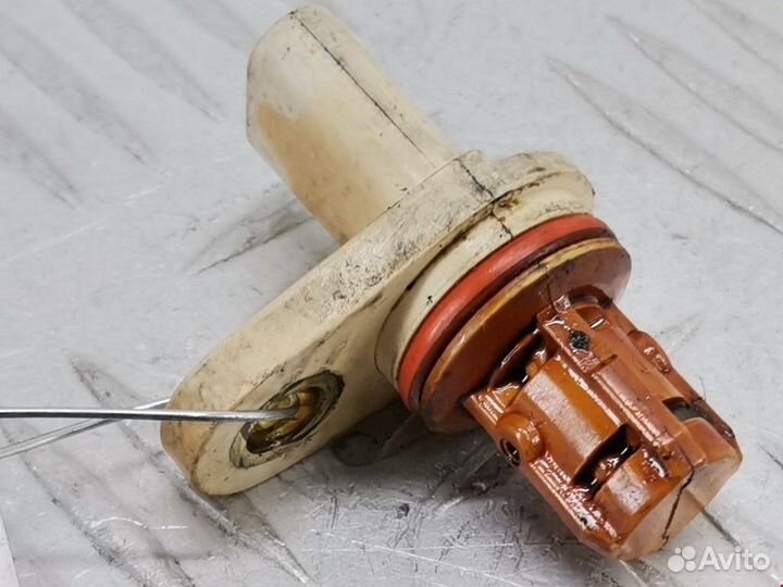 Датчик распредвала Opel Insignia (A) 2011 55566932