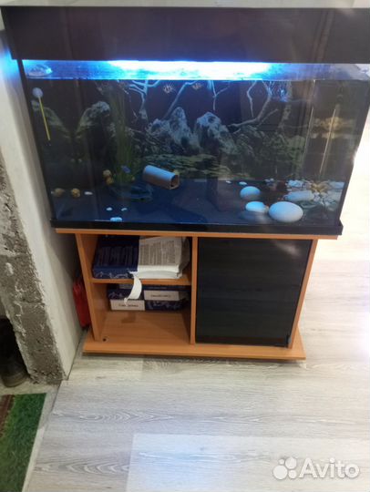 Аквариум