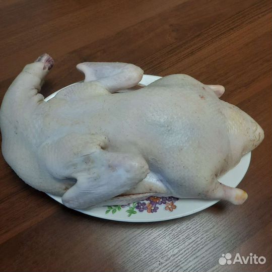 Утка домашняя мясо